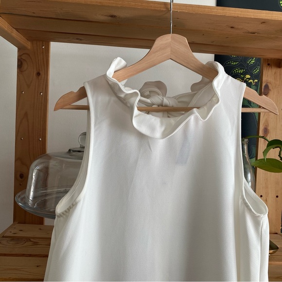 Tuckernuck Pomander Place White Blythe Ruffle Neck Bow Tie Back Swing Dress - Picture 7 of 15